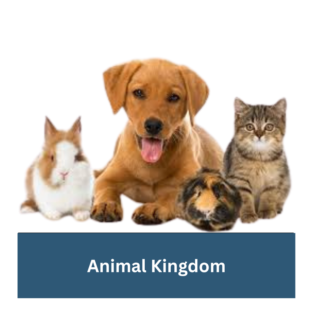 Animal Kingdom